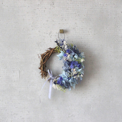 アナスタシア（mini wreath) 2枚目の画像