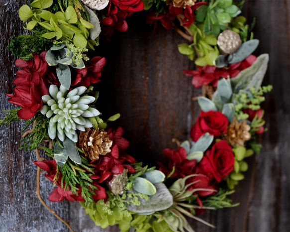 Christmas Wreath (botanical) 1枚目の画像
