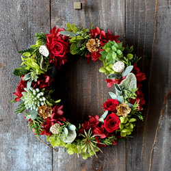 Christmas Wreath (botanical) 2枚目の画像