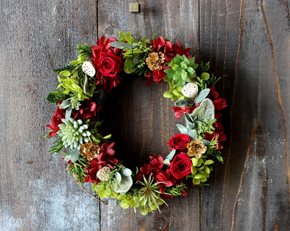 Christmas Wreath (botanical) 2枚目の画像