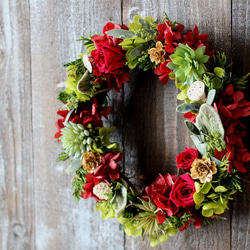 Christmas Wreath (botanical) 4枚目の画像