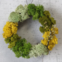mini wreath (moss/yellow) 1枚目の画像