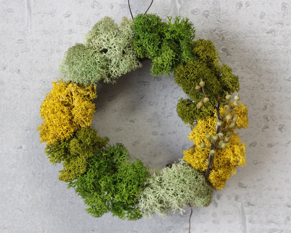 mini wreath (moss/yellow) 1枚目の画像