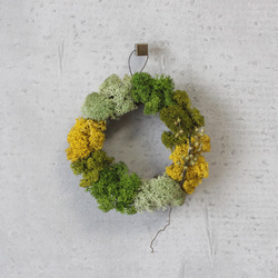 mini wreath (moss/yellow) 2枚目の画像