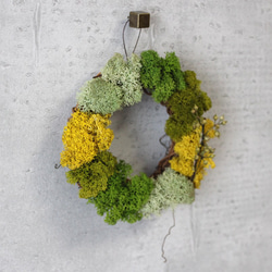 mini wreath (moss/yellow) 3枚目の画像