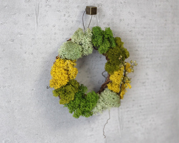 mini wreath (moss/yellow) 3枚目の画像