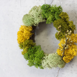 mini wreath (moss/yellow) 4枚目の画像