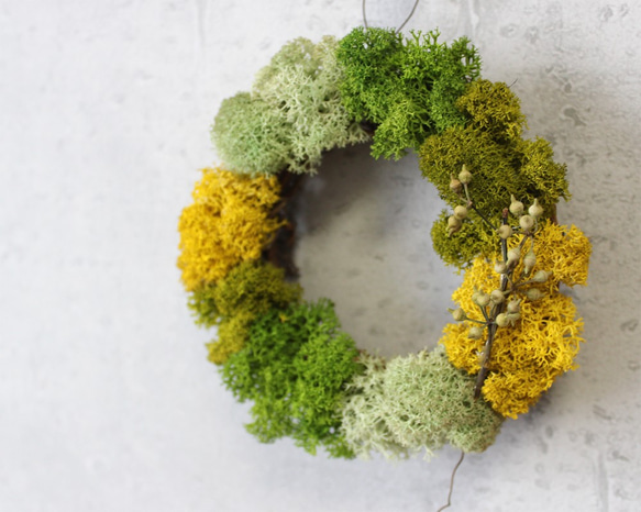 mini wreath (moss/yellow) 4枚目の画像