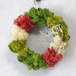 mini wreath (moss/red) 2枚目の画像