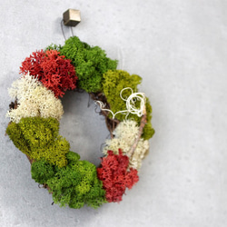 mini wreath (moss/red) 3枚目の画像