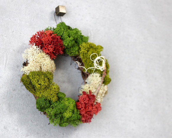 mini wreath (moss/red) 3枚目の画像