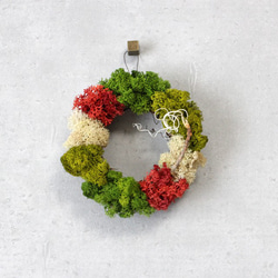 mini wreath (moss/red) 4枚目の画像