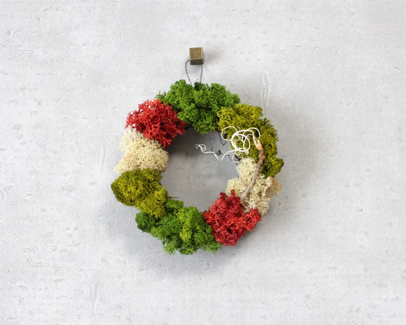 mini wreath (moss/red) 4枚目の画像