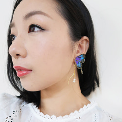 Miss Paranoid 偏執狂小姐 玫瑰與孔雀藍紫色燕尾蝶 樹脂耳環 成對販售  925銀/鋼針 第3張的照片