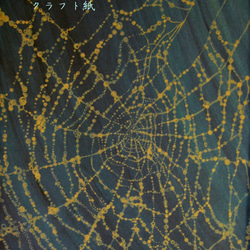 雨上がりの蜘蛛の巣　A4ポスターセット(フレーム付) 3枚目の画像