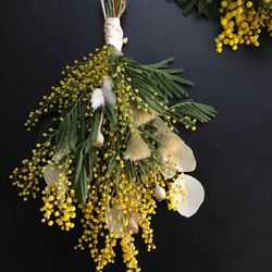 ミモザのミニスワッグ〜mimosa F〜 1枚目の画像