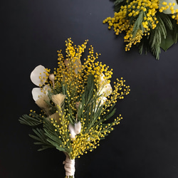 ミモザのミニスワッグ〜mimosa F〜 3枚目の画像