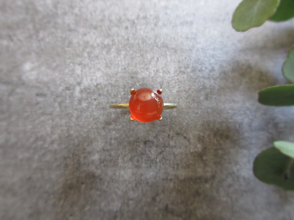 [七月生日石] 8mm 凸圓形紅玉髓戒指 第9張的照片
