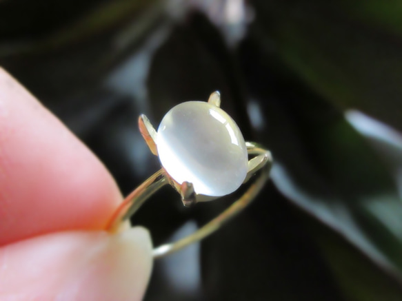 [美麗的顆粒] 8 x 6mm「白色月光石貓眼」凸圓面戒指 第1張的照片