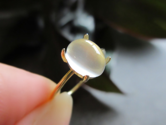 [美麗的顆粒] 8 x 6mm「白色月光石貓眼」凸圓面戒指 第5張的照片