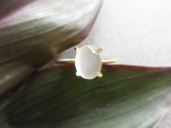 [美麗的顆粒] 8 x 6mm「白色月光石貓眼」凸圓面戒指 第6張的照片