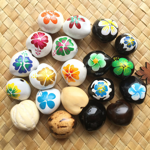 ククイナッツアソート チャーム HUMUHUMU 通販｜Creema(クリーマ) 2284380