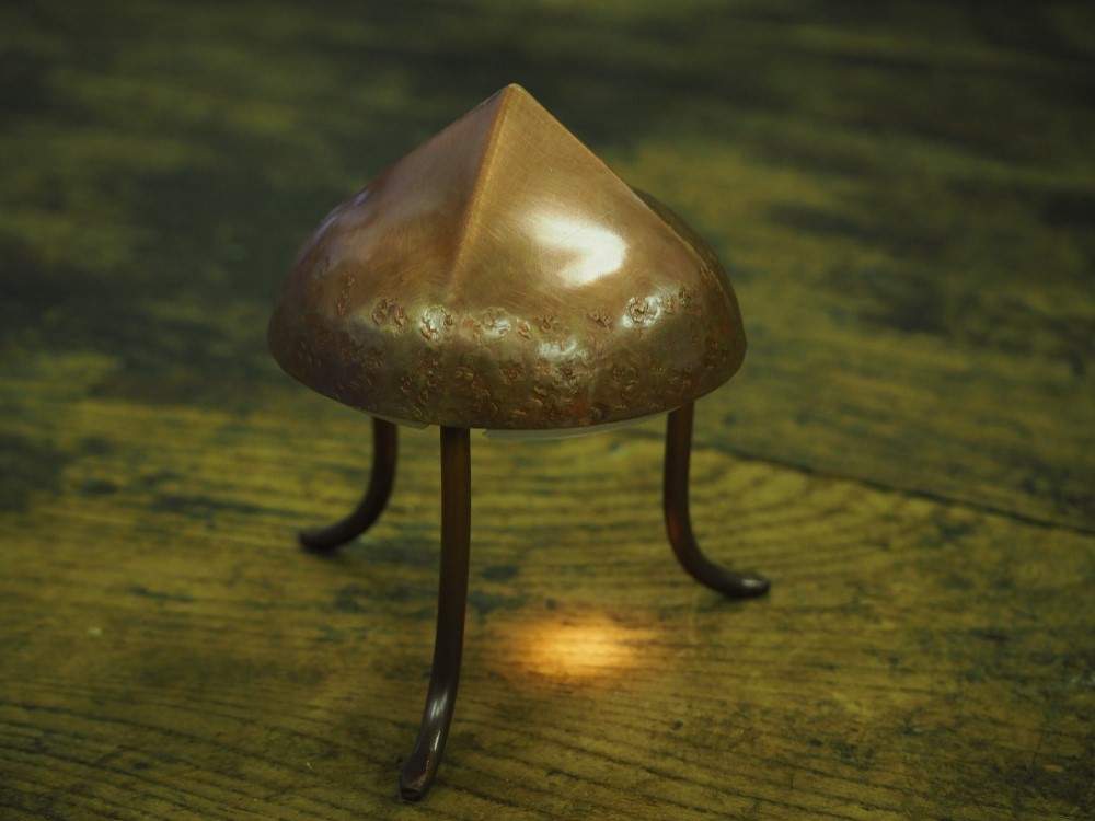 海の生物～ランプ～