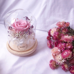 幸福首選-粉玫瑰永生夜燈/ROSEAMOR/玫瑰花/西班牙不凋繡球/擺飾 第3張的照片