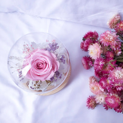 幸福首選-粉玫瑰永生夜燈/ROSEAMOR/玫瑰花/西班牙不凋繡球/擺飾 第4張的照片