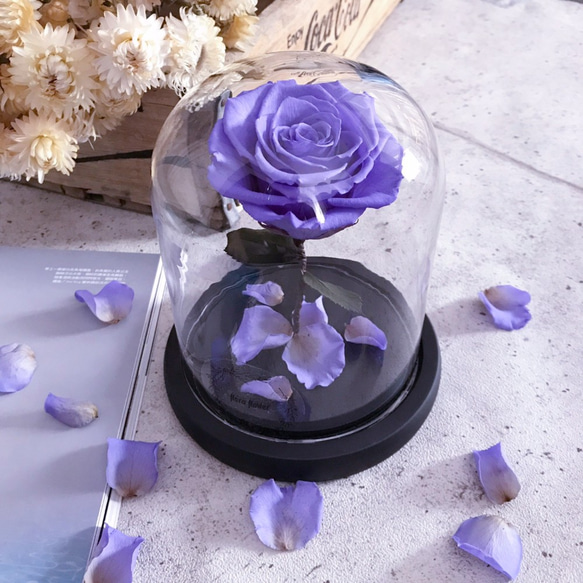 藍紫色 - 美女野獸永生花夜燈 flora 第2張的照片