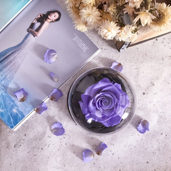 藍紫色 - 美女野獸永生花夜燈 flora 第3張的照片