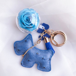 狗狗永生花吊飾 藍色鑰匙圈 情人節禮物 新年禮物 第1張的照片