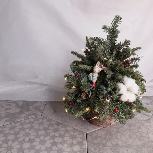 聖誕樹 聖誕禮物 乾燥花 交換禮物 LaVie en Rose 諾貝松 第3張的照片