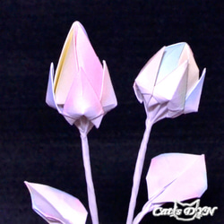 レインボーローズを蕾から開花まで　（折り紙の薔薇の花） 5枚目の画像