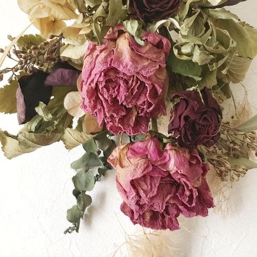 芍薬のスワッグ antique peony ドライフラワー CUMOINUS 通販