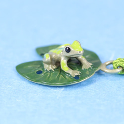根付（黄銅製）ひつじ草に蛙　小／かえる・カエル 3枚目の画像