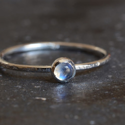 月光の物語・Ⅲ 2枚目の画像