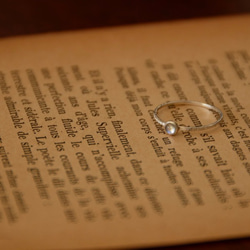 月光の物語・Ⅲ 5枚目の画像