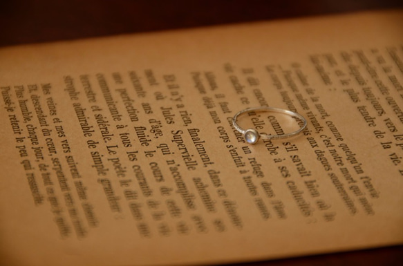 月光の物語・Ⅲ 5枚目の画像