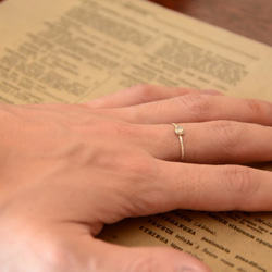 月光の物語・Ⅲ 6枚目の画像