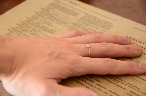 月光の物語・Ⅲ 6枚目の画像