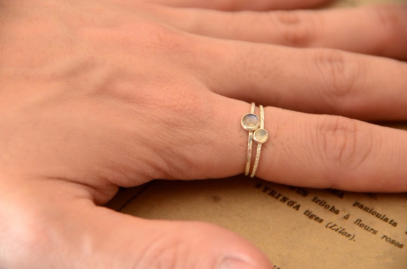 月光の物語・Ⅲ 7枚目の画像