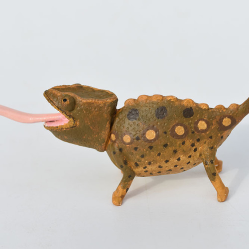 近々削除予定カメレオン試作 フトアゴン 一点物 近々削除予定