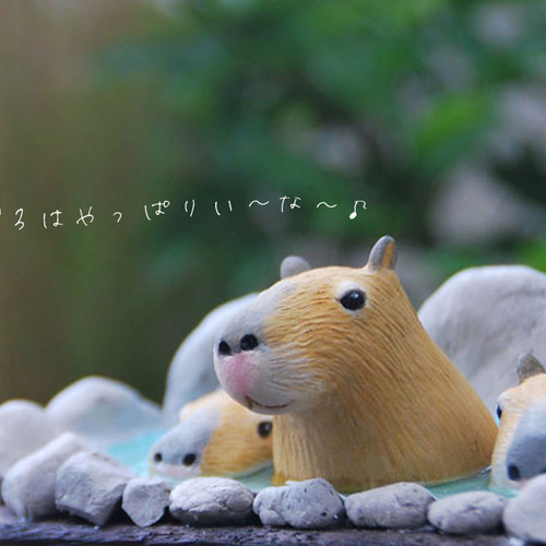 かとうゆみ　カピバラ 000000002949_2mSje3f.png