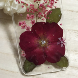 鮮豔的紅玫瑰*開滿鮮花iphone6/6S case㉖ 第3張的照片