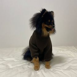 犬服‼︎手編み風ニットタートル袖あり　ブラウン⭐️XS.S.M.DXS.DS.DM 4枚目の画像