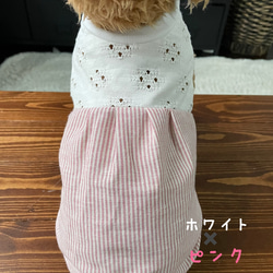 犬服‼︎レースニットと綿麻ストライプのワンピ☆XS.S.M 6枚目の画像