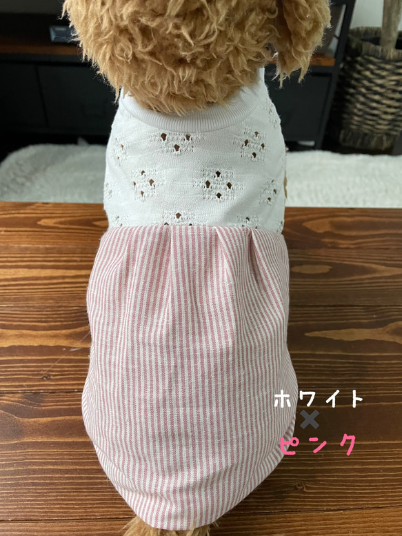 犬服‼︎レースニットと綿麻ストライプのワンピ☆XS.S.M 6枚目の画像