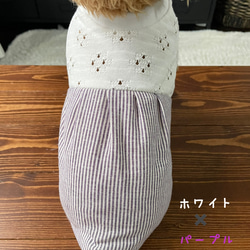 犬服‼︎レースニットと綿麻ストライプのワンピ☆XS.S.M 7枚目の画像