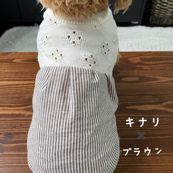 犬服‼︎レースニットと綿麻ストライプのワンピ☆XS.S.M 8枚目の画像